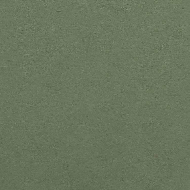 Carton Colorplan A4 verde salvie - mid green 270g